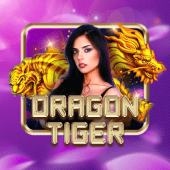 Dragon Tiger live casino wowgames